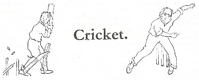 Cricket header